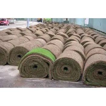 100% Lawn Grass